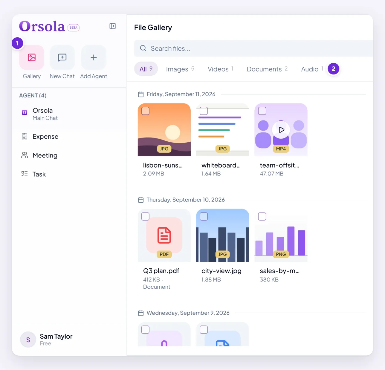 The Gallery open from the chat sidebar, showing photos, a video, documents and recordings, with filters for Images, Videos, Documents and Audio across the top.